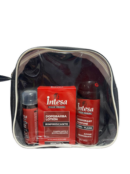 - INTESA ПН в косметичці №1 (Дезодорант 150ml, лосьйон після гоління 100ml, піна для гол 50ml) 100002 фото